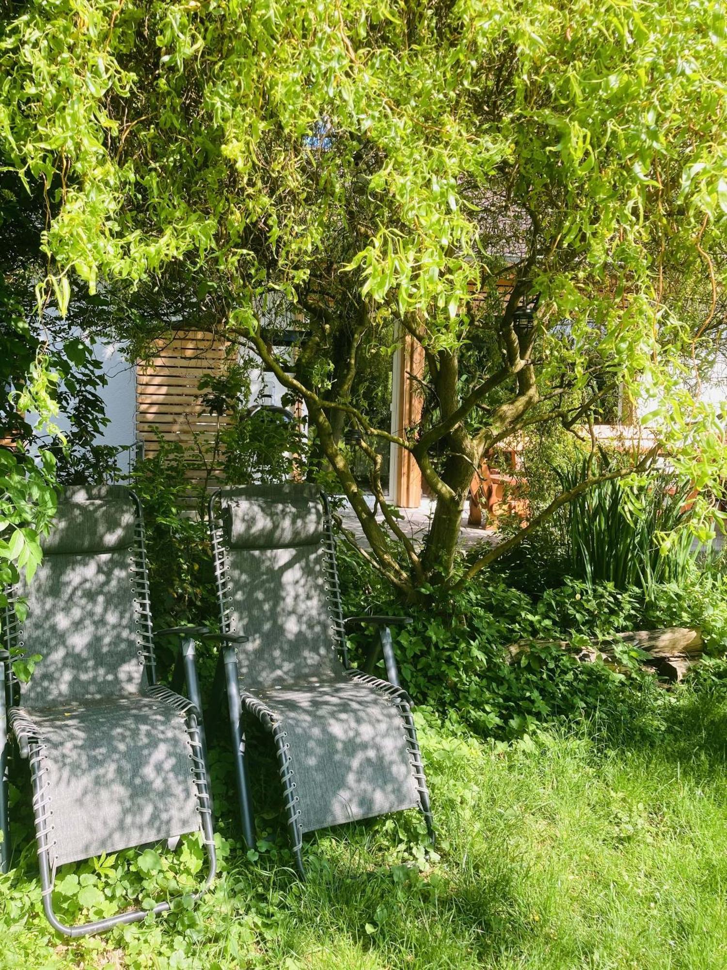 Ferienhaus Urwald Hofgeismar Exterior foto